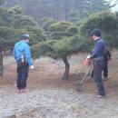 여주-0962 Daum카페
