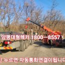 양평특수견 이미지