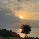 카페보리 이미지