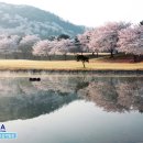 제일석재 이미지