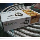 파평농원 Daum카페