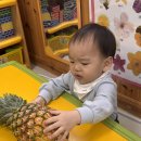 모양틀로 파인애플을 찍어요 🍍 이미지