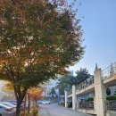 창원시시립곰두리체육센터 이미지