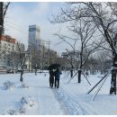 풍암호수공원 이미지