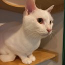 아이조아요양보호소 동탄점 이미지