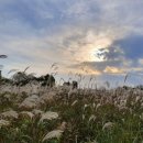 안성천 연결도로 이미지