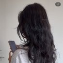 살롱드 뉴