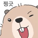 꼬치카야 정도 산본본점
