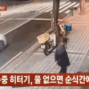 제기수족관