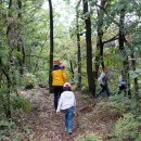 아이숲유치원 이미지