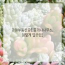 함께잘사는공인중개사사무소 이미지