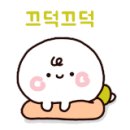 우본모터스