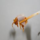 씨유 청주용암건영점 | 청주 용암동 맛집, 용암동아구찜 해물알찜 맛집 &#39; 제주해물알찜 &#39;