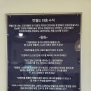 태위로 | 제주도고양이카페 제주캣월드, 고양이들의 천국을 방문한 후기!