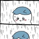 논현2동-5 이미지