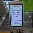 강원효문화원 Daum카페