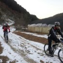 지빠 이미지
