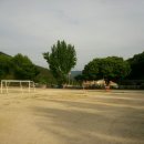 고령중학교개진분교장 이미지