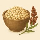 수수 티스토리