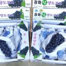 규호농장 네이버블로그