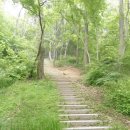 해안북로 이미지