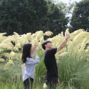 그라스 이미지