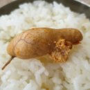 동아리 동태찜탕 이미지