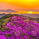 죽기전에 꼭 가봐야 할 우리나라 100대 여행지