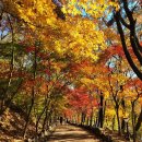 입곡군립공원 이미지