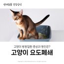 금릉동물의료센터