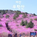 여수순천우림산우회 제322차(4월 12일) 마산 무학산(진달래꽃) 정기산행 이미지