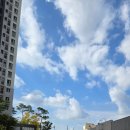 몽그르르 이미지