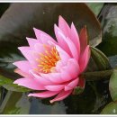 당지농장 이미지