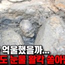 부산 지하철 공사장 진흙 걷어내자 200년 만에 깨어난 해골.. 발굴자도 눈물을 멈추지 못한 유물 이미지