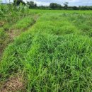 닛시농장 이미지