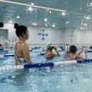 스윔21(관양점) 이미지