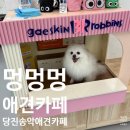 멍멍멍애견카페