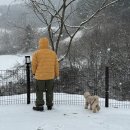 강원도 홍천 울타리와 운동장 있는 애견 동반 드루왈 캠핑장 A3 후기