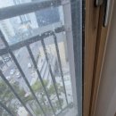 대구역 센트럴자이 | [공지] 대구중구 이사청소, 대구역센트럴자이 이사청소 후기