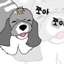 강아지네 애견하우스 이미지