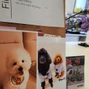 예쓰멍! 이미지