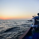 여명안경 이미지