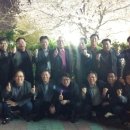 황금오리 이미지