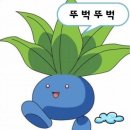 경성쌀호두 삼송점 | 3대째 이어오는 유서깊은 전설적인 빵집 [삼송빵집본점] 빵지순례 마감시간 빵종류