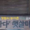 바다햇살마루