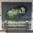 제주여객자동차㈜ | 제주여행 경남 사천 삼천포신항 여객선터미널 오션비스타제주 배편 왕복 후기