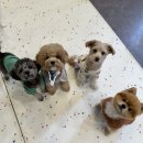 에이알씨(주) 이미지