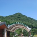 충북알프스자연휴양림 | 보은여행 충북알프스자연휴양림 휴양관 완벽 후기.25년 물놀이 수영장 후기. 7월11일기준.