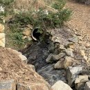 공주산속펜션 이미지