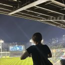 두산스포츠 | [스포츠] 2024 KBO 리그 프로야구 잠실야구장 중앙네이비석 313블럭 시야/두산 vs LG 야구 직관 후기